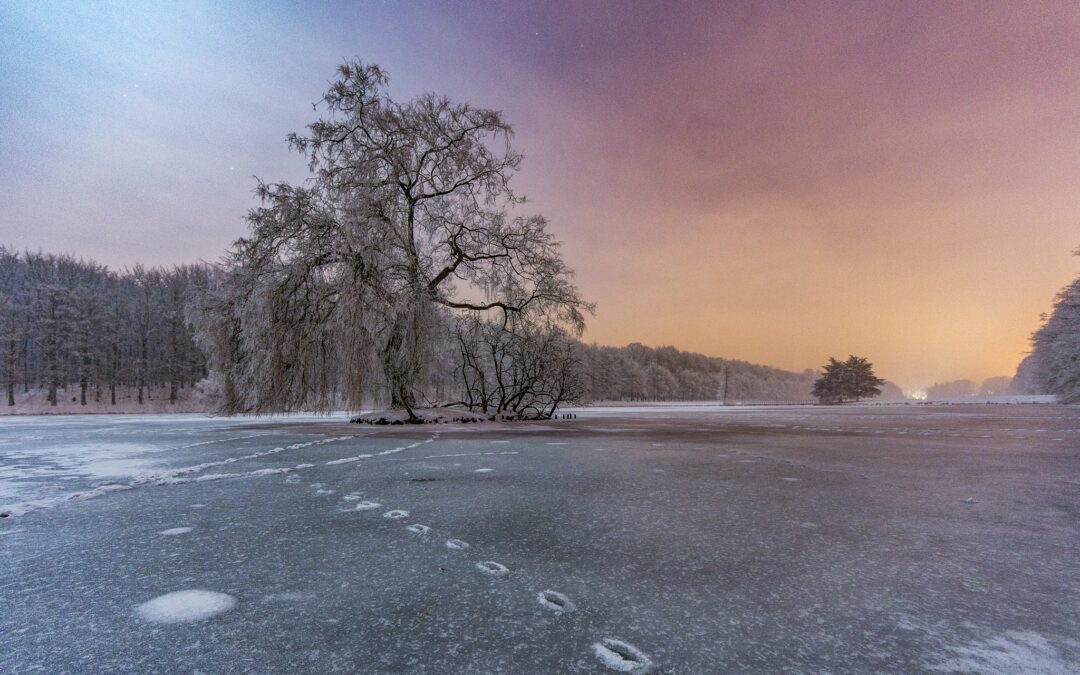 Nature Tervuren Park